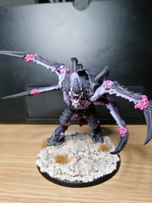 Screamer Killer