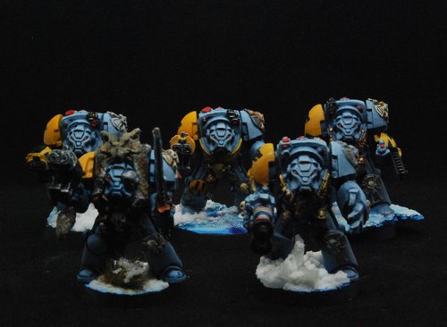 Terminator Wolf Guard