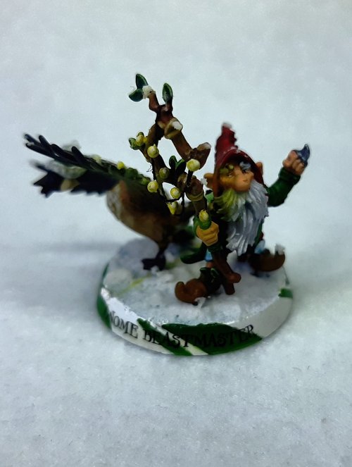 Christmas Gnome Beastmaster