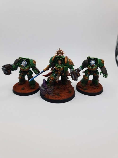 Salamander Terminators