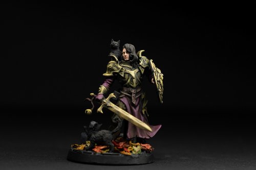 Knight of the Black Cat