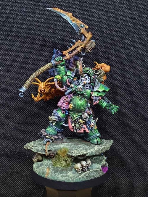Typhus