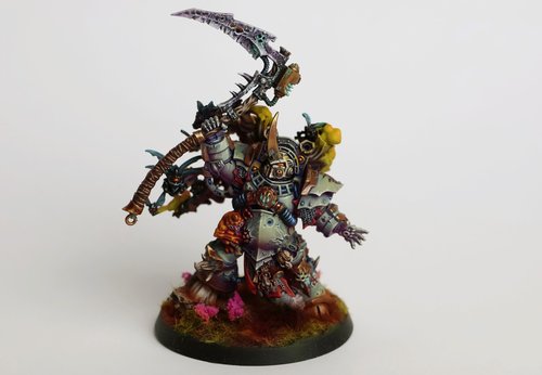 Thypus
