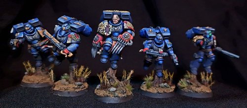 Primaris Vanguard Veterans - Crimson Fists