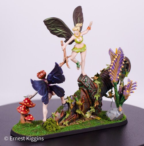 Fencing Fairies