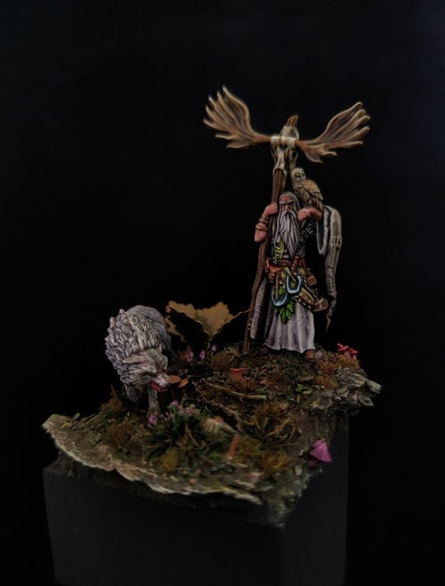 Druid