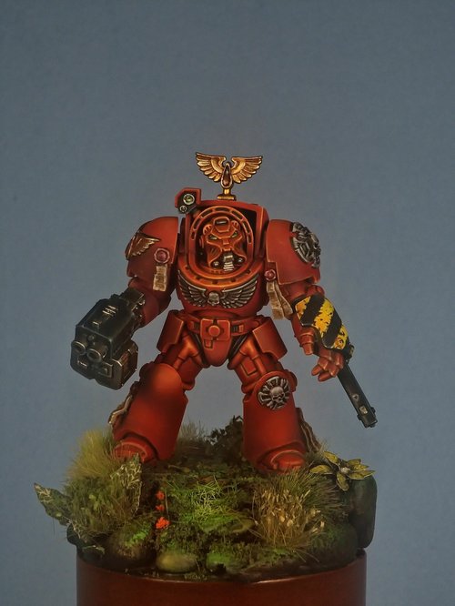 Blood Angels Terminator