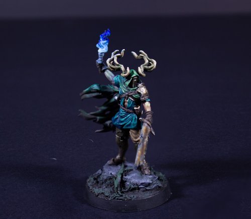 Warden of the Forest