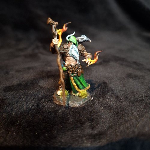Human Druid