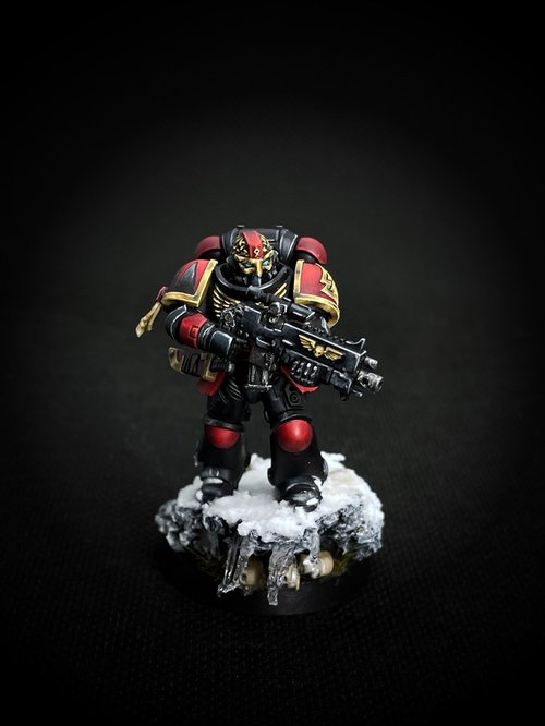 Space Marine - Sons of the Valkyr