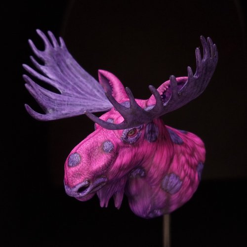 The Greater Northern Pink and Purple Spotted Moose