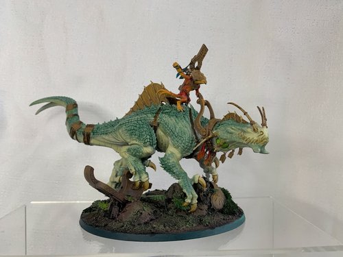 Skink orangacl