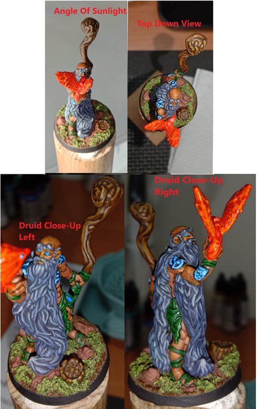 DnD Druid Communes With Animal Companion