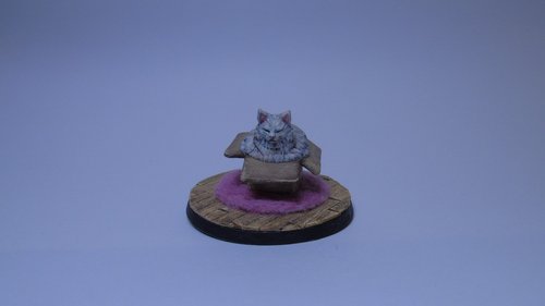 Chonki cat in box