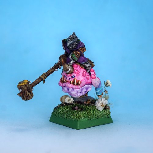 Goblin Squig Rider