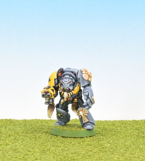Wolf Guard Terminator
