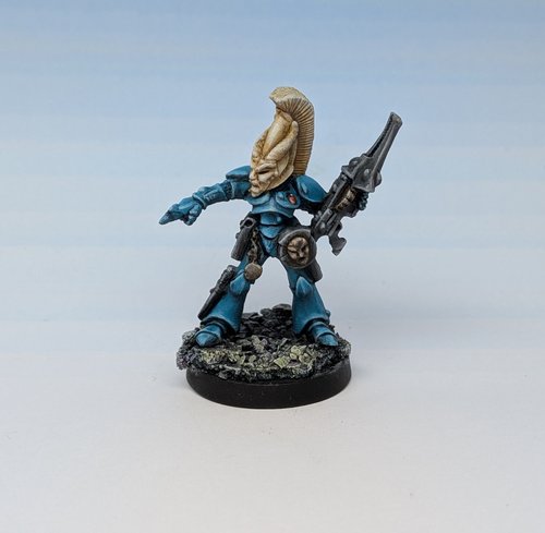Eldar Rogue Trader