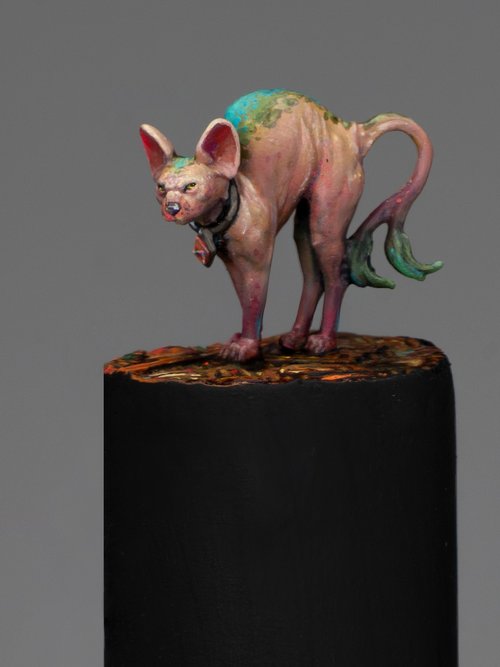 All my Critters over time: Strange Cat - 2026