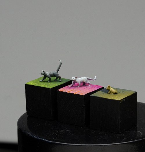 All my Critters over time: Group of Cats - 2019