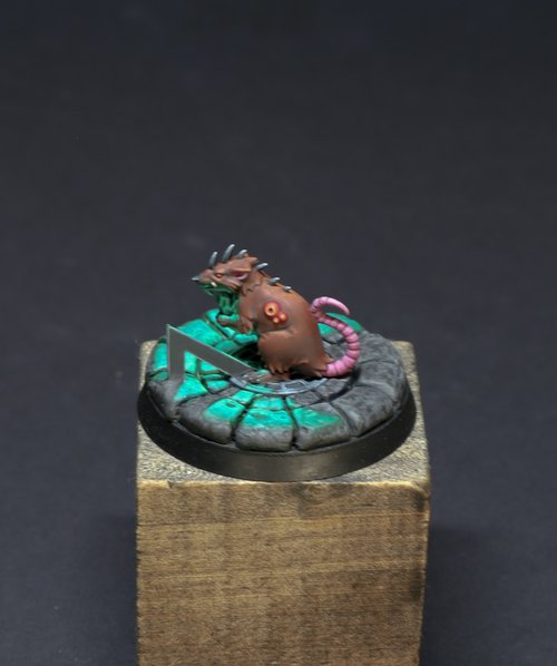 Timewarp rat