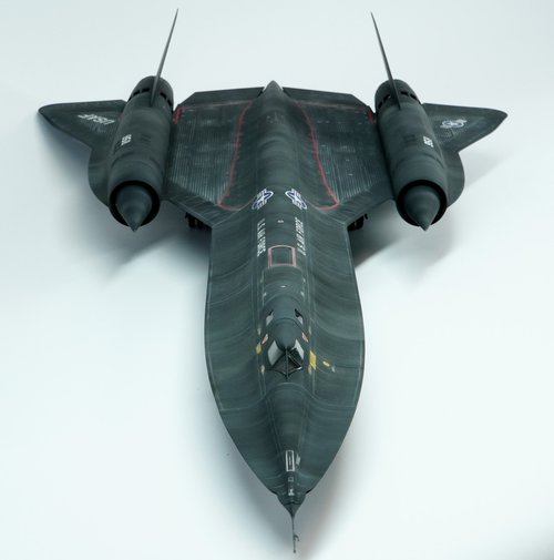 Blackbird