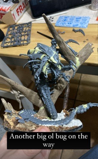 Mawloc