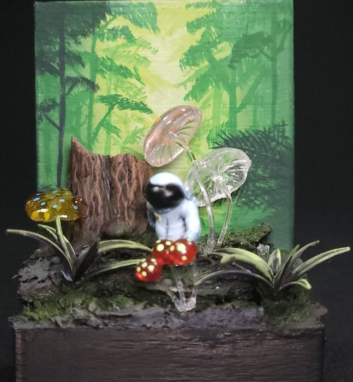 Schrooms