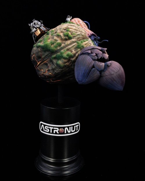 AstroNUT