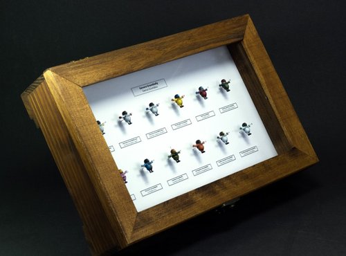 Entomological Display Case