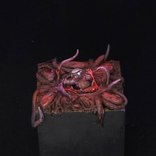 Transmission from Below