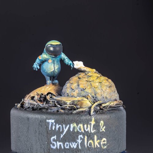 Tinynaut and Snowflake