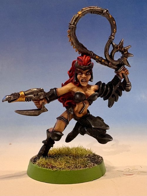 Dark Eldar Wych