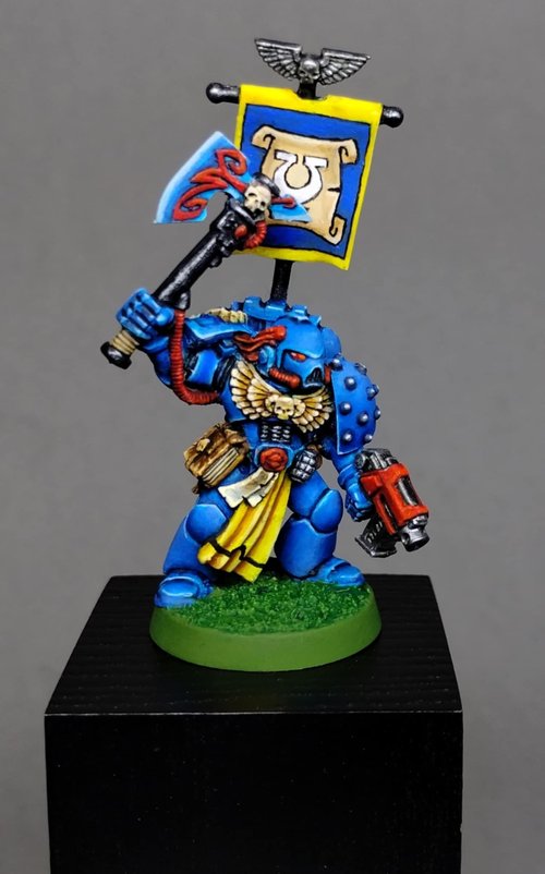 Ultramarine Librarian