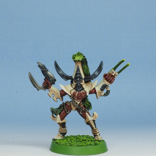 Dark Eldar Sybarite