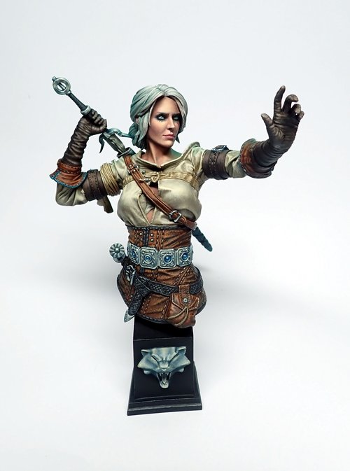 Witchers Daughter