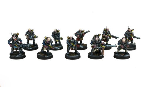 Neophite Hybrids