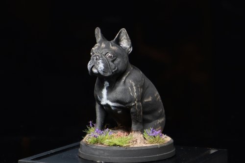 Georgio the Pug