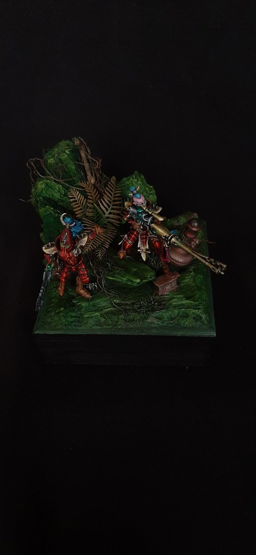 Drukhari Hunt