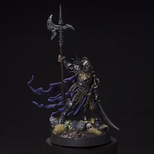 Captain Halgrim