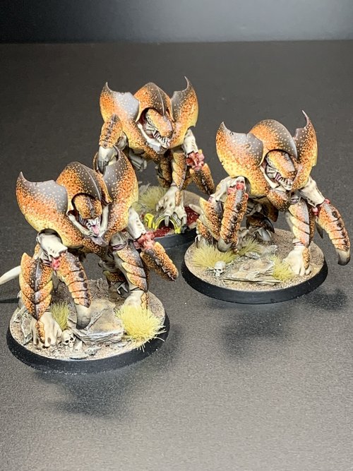 Hive Guard of Hive Fleet Lasius