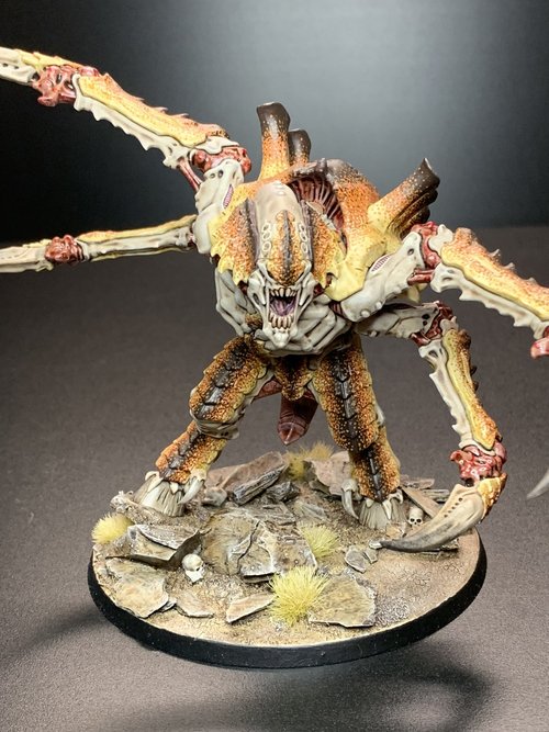Screamer Killer of the Hive Fleet Lasius