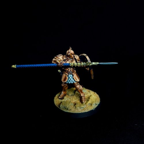Stormcast Vindictor