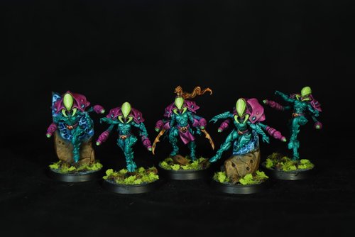 Il-Kaithe warp spiders
