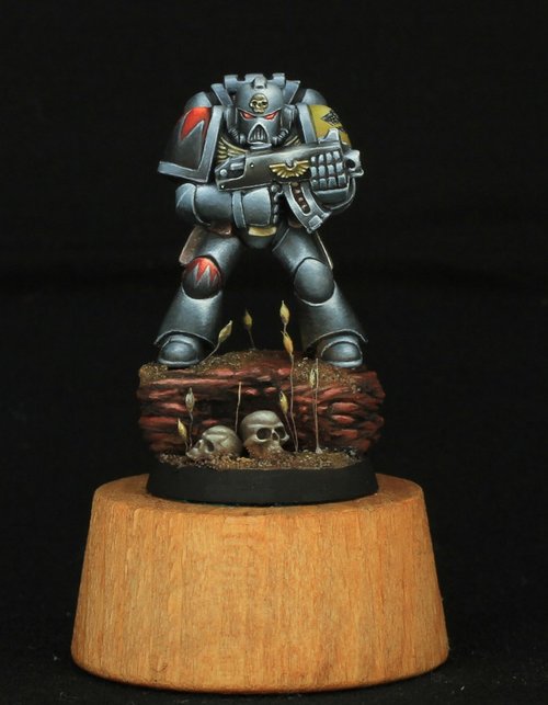 Space Wolf