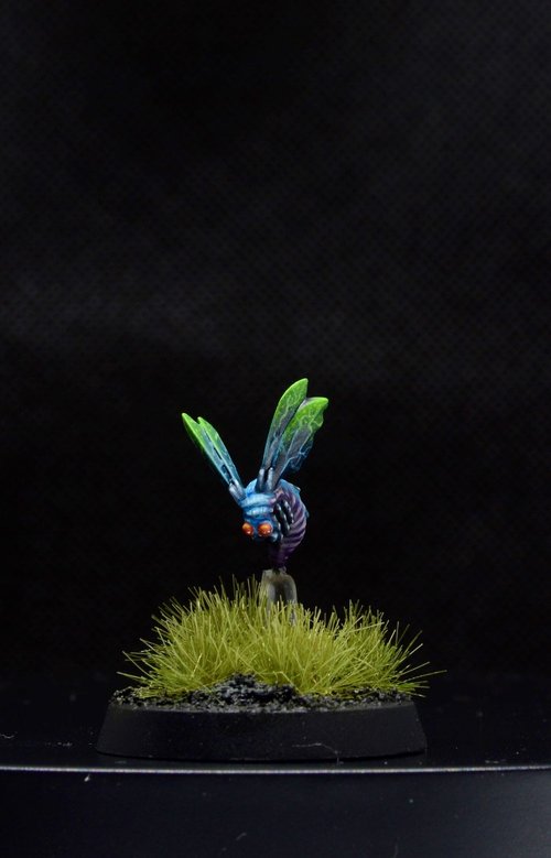 Pokey - the eyestinger