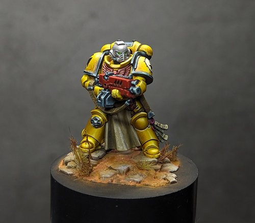 Imperial Fist Veteran