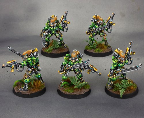 Aeldari Striking Scorpions