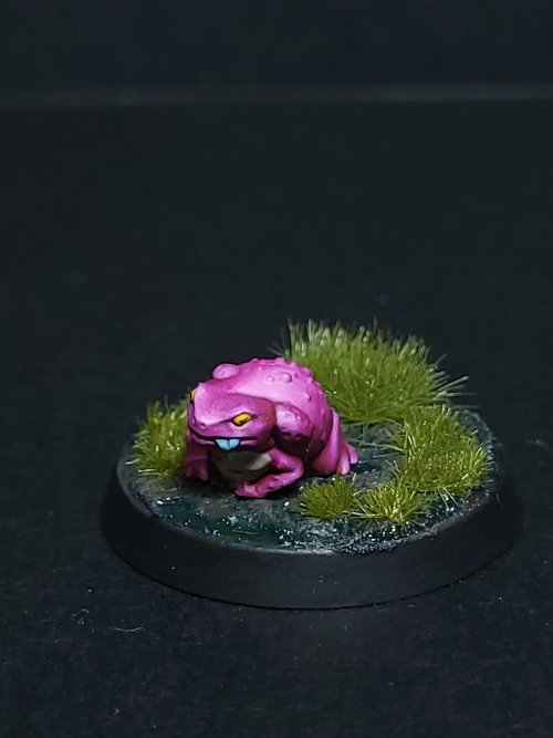 Toad