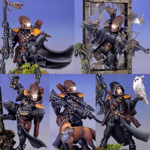Eldar Rangers