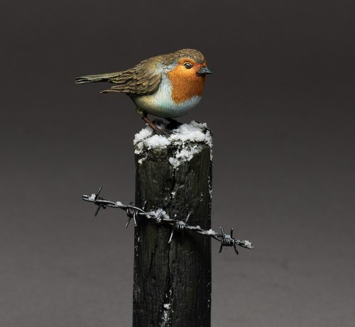 Robin